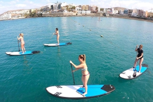 Gran Canaria: Paddle board experience. 2 hours. Hotel pick-up is included