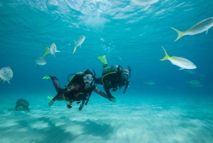 Gran Canaria: PADI Open Water Diver Course