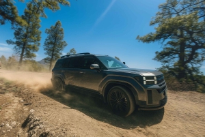 Gran Canaria: Premium Safari 4x4 Tour with Local Guide