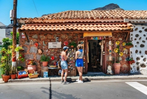 Gran Canaria: Premium Safari 4x4 Tour with Local Guide