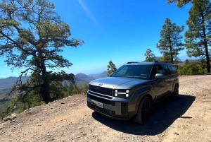 Gran Canaria: Premium Safari 4x4 Tour with Local Guide