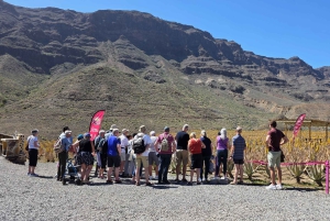 Gran Canaria: Premium Safari 4x4 Tour with Local Guide