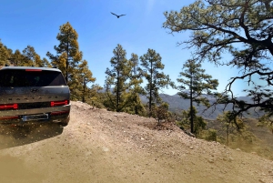 Gran Canaria: Premium Safari 4x4 Tour with Local Guide