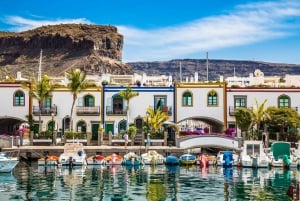 Gran Canaria - Puerto de Mogán en markt