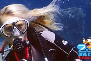 Gran Canaria Scuba Diving for Certified Divers