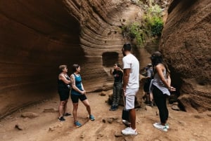 Gran Canaria: The Red Canyon Tour with Local Food Tasting