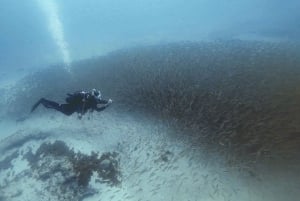 Gran Canaria: Prova på dykning för nybörjare