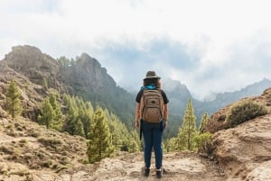 Gran Canaria: Volcano Sunset Tour and Local Food Tasting