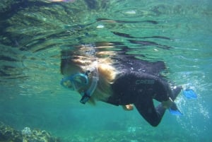 Experiência de Snorkelling guiada no sul da Gran Canaria
