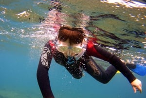 Experiência de Snorkelling guiada no sul da Gran Canaria