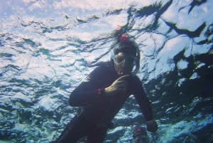 Experiência de Snorkelling guiada no sul da Gran Canaria