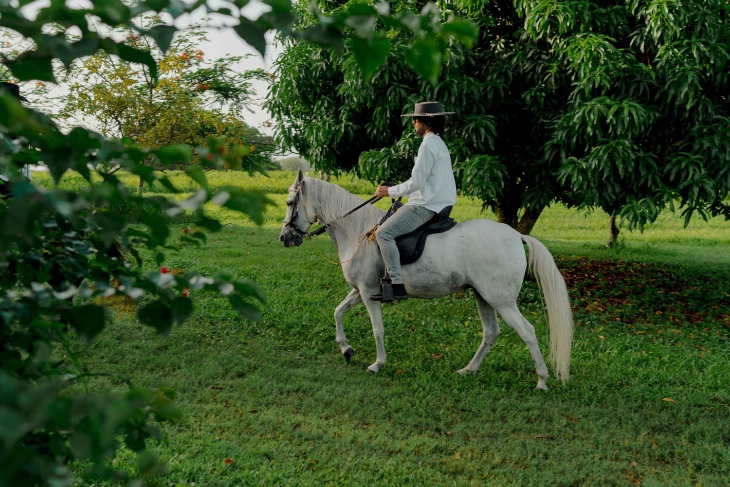 Hacienda Campo Rico: 2 uur geschiedenis en paardendemonstratie