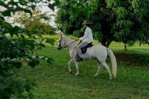 Hacienda Campo Rico: 2 uur geschiedenis en paardendemonstratie