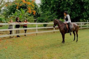 Hacienda Campo Rico: 2 uur geschiedenis en paardendemonstratie