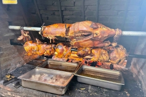 Hacienda Campo Rico: 2 uur geschiedenis en paardendemonstratie