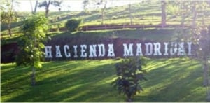 Hacienda Madrigal