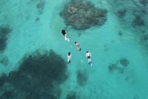 Fajardo: Halvdagstur med privat snorklebåt med lunsj
