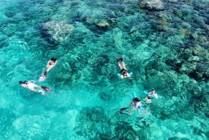Fajardo: Halvdags privat snorkelbådtur med frokost