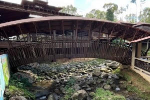 San Juan: tour gastronomico sull'autostrada del maiale con degustazione di prodotti alimentari