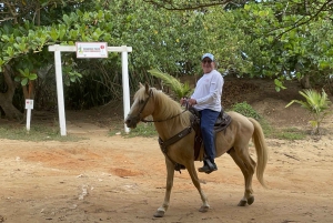 Aguadilla: Tur på hesteryggen på stranden