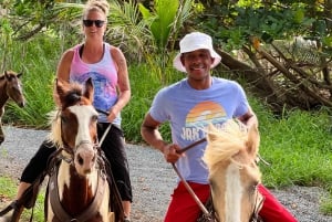 Aguadilla: Tur på hesteryggen på stranden