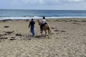 Aguadilla: Ridning på stranden