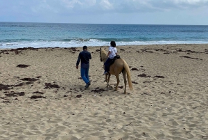 Aguadilla: Paseo a Caballo por la Playa
