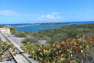 From Fajardo: Icacos Island Boat Trip and Beach Day Package