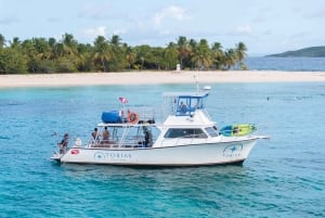 Icacos Island: Ui, snorklaus ja rentoudu – all-inclusive-venematka