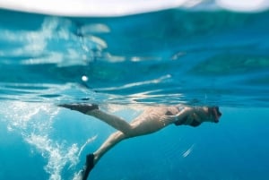 Icacos Island: Ui, snorklaus ja rentoudu – all-inclusive-venematka