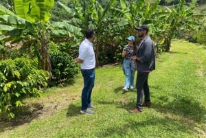 Jayuya: Coffee Tour and Workshop at Hacienda Prosperidad