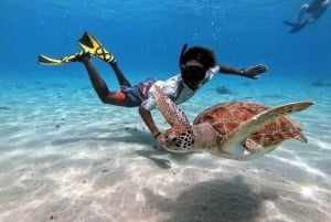 Avventura di snorkeling con le tartarughe sulla spiaggia di Jobo