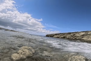 Avventura di snorkeling con le tartarughe sulla spiaggia di Jobo