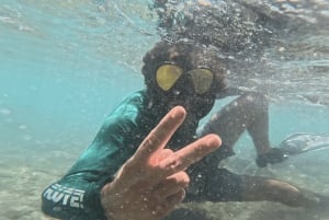 Avventura di snorkeling con le tartarughe sulla spiaggia di Jobo