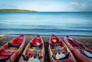 Kayak and Snorkeling Eco- Experience with Snack and Drinks