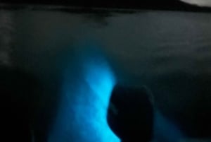 La Parguera: Bioluminescent Bay Boat Tour