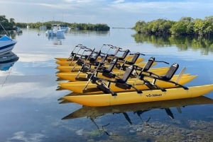 La Parguera: Bioluminescent Bay Chiliboats Experience