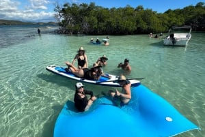 La Parguera: tour de medio día en barco privado 4 horas