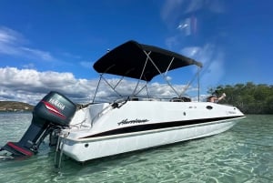 La Parguera: excursão de meio dia em barco particular de 4 horas