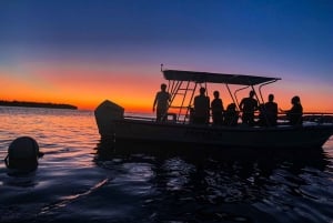 La Parguera: Sunset and Biobay or Late Night Biobay Cruise