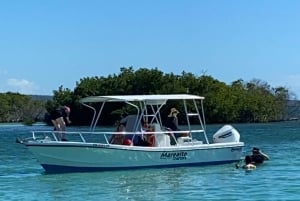 La Parguera: Sunset and Biobay or Late Night Biobay Cruise