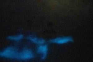 La Parguera: Sunset and Biobay or Late Night Biobay Cruise