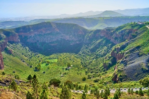 Las Palmas, Botanical Gardens and Bandama Volcano Tour