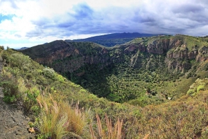 Las Palmas, Botanical Gardens and Bandama Volcano Tour