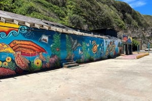 Porto Rico: Tour guidato della costa occidentale con trasporto in albergo