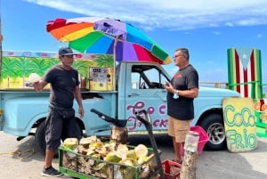Portoryko: Wycieczka z przewodnikiem po zachodnim wybrzeżu z transportem do hotelu