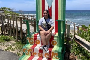 Puerto Rico: Geführte Westküsten-Tour mit Hoteltransport