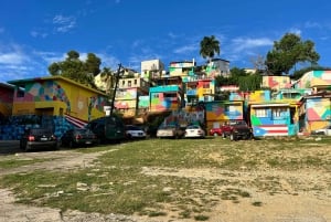 Puerto Rico: Guidad västkusttur med transport till hotellet
