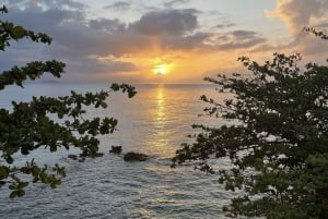 プエルトリコ：ホテル送迎付きガイド付き西海岸ツアー