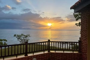 プエルトリコ：ホテル送迎付きガイド付き西海岸ツアー
